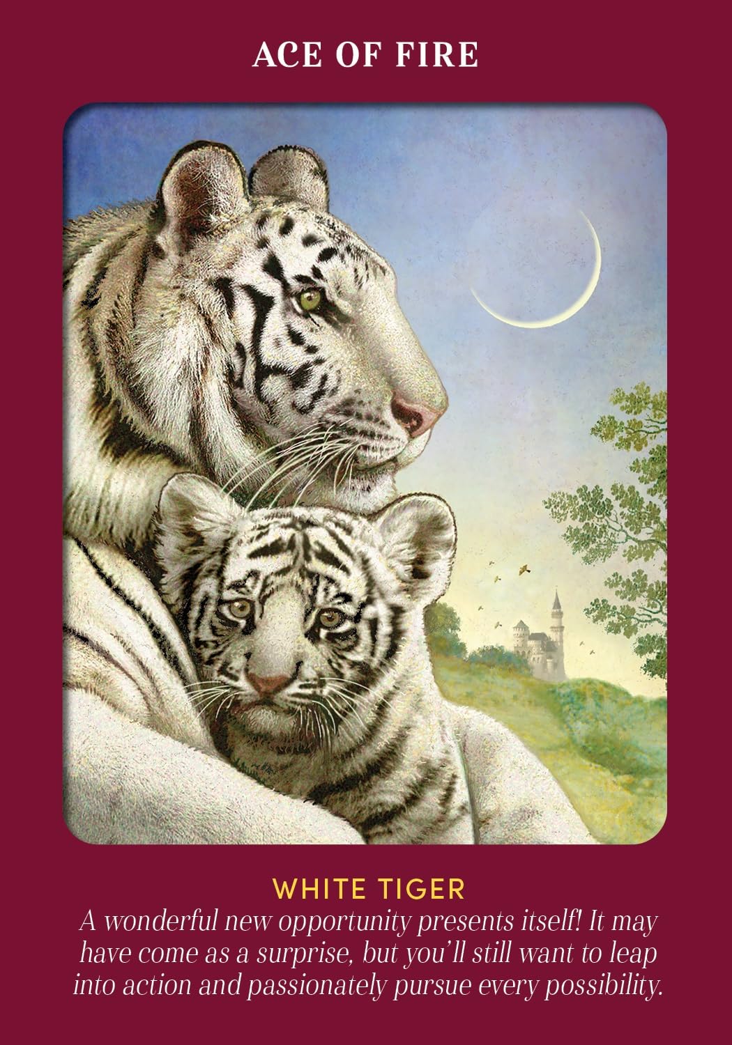 Animal Guides Tarot Cards